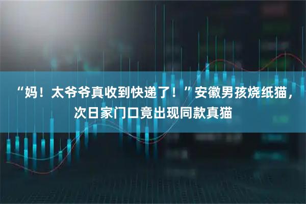 “妈！太爷爷真收到快递了！”安徽男孩烧纸猫，次日家门口竟出现同款真猫