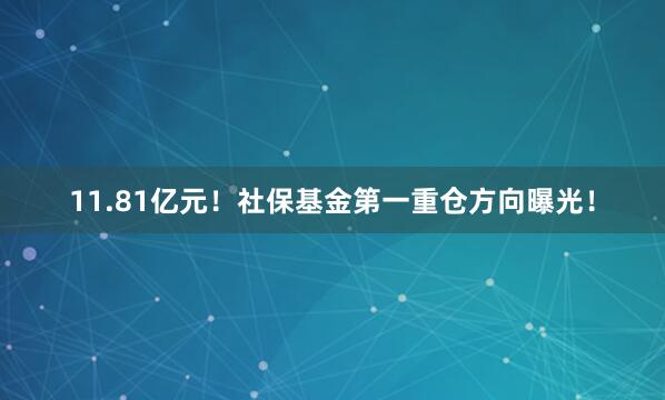 11.81亿元！社保基金第一重仓方向曝光！