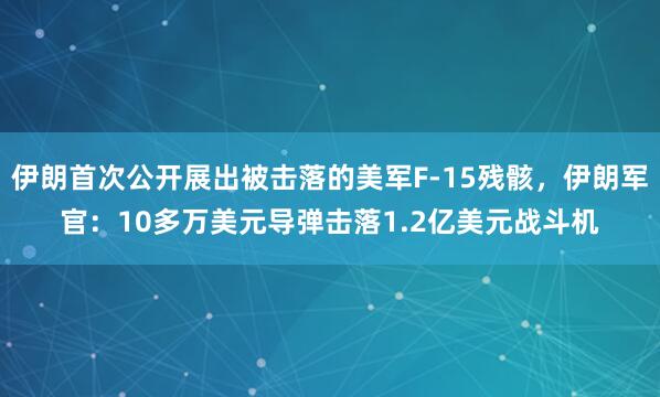 伊朗首次公开展出被击落的美军F-15残骸,伊朗军官:10多万美元导弹击落1.2亿美元战斗机