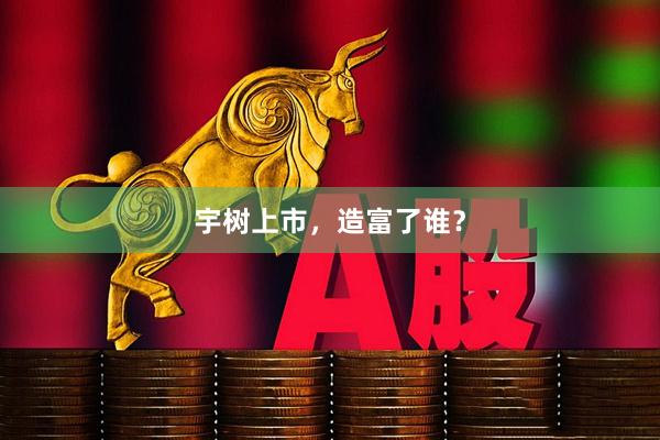 宇树上市,造富了谁?