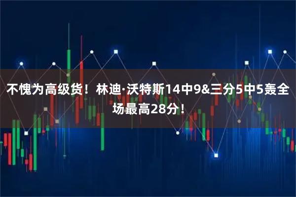 不愧为高级货！林迪·沃特斯14中9&三分5中5轰全场最高28分！